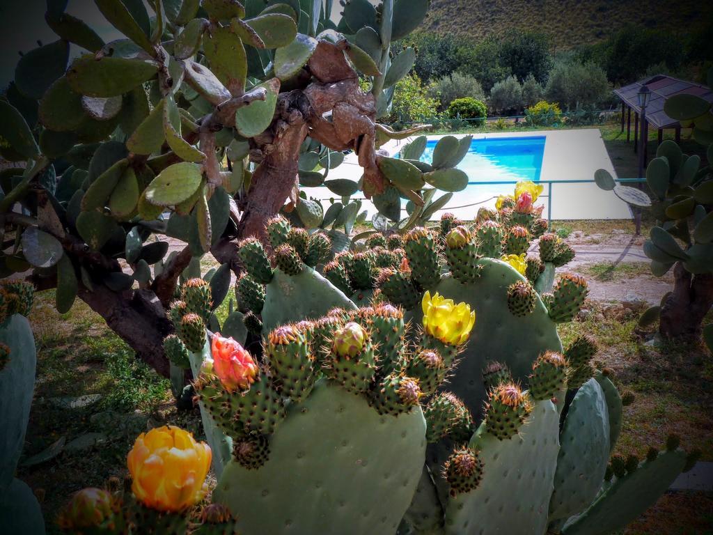 Agriturismo Timpa del Sole Villa Noto Exterior foto